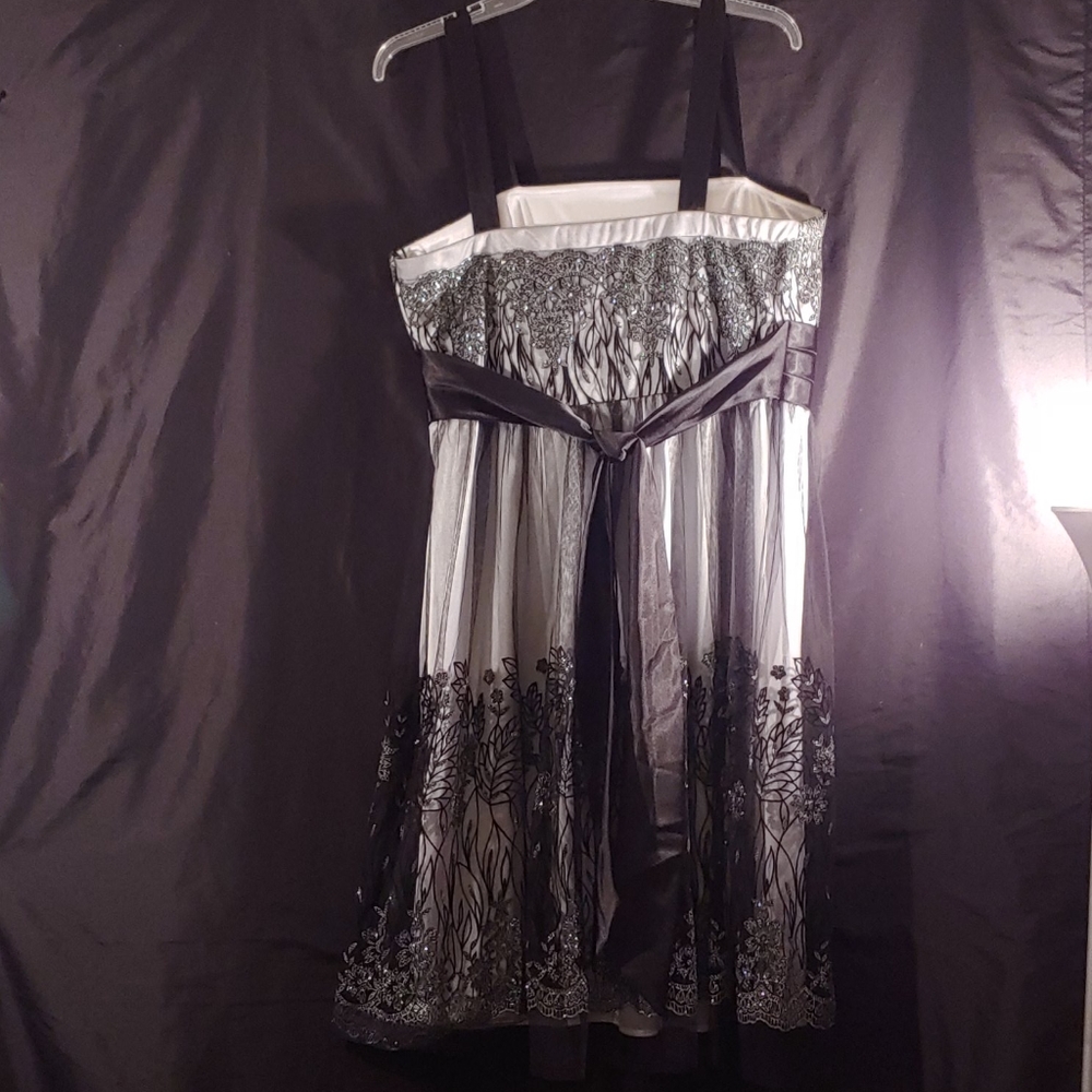 R&M Richards Dress - Picture 4 of 6